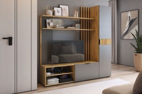 БЕРИ К1 Гостиная в Агрызе - agryz.mebel24.online | фото 2