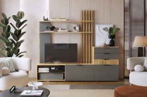 БЕРИ К3 Гостиная в Агрызе - agryz.mebel24.online | фото 2