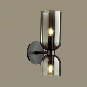 Бра Odeon Light Orinoco 4804/2W в Агрызе - agryz.mebel24.online | фото 2