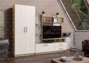 ДАРЬЯ Гостиная (Крафт серый/Крафт белый) модульная в Агрызе - agryz.mebel24.online | фото