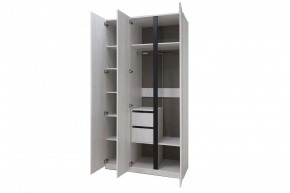 ДЕЛИ 3 Шкаф 3-х створчатый в Агрызе - agryz.mebel24.online | фото 6