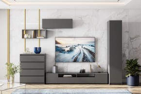 ДЕНВЕР Тумба для телевидеоаппаратуры (Графит серый) в Агрызе - agryz.mebel24.online | фото 4
