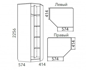 Детская Фанк Шкаф угловой Левый/Правый НМ 013.04-02 М в Агрызе - agryz.mebel24.online | фото 3