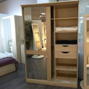 ДИАНА Д13 Шкаф-купе в Агрызе - agryz.mebel24.online | фото 4