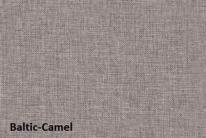Диван-кровать Комфорт ЛАЙТ без подлокотников (2 подушки) BALTIC CAMEL в Агрызе - agryz.mebel24.online | фото 4