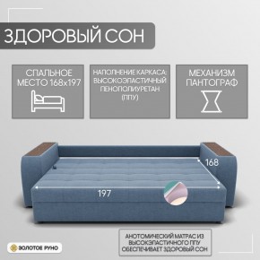 Диван Сенатор-1 (НПБ) в Агрызе - agryz.mebel24.online | фото 3