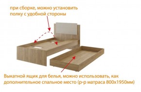 Дуглас подростковая (модульная) в Агрызе - agryz.mebel24.online | фото 5