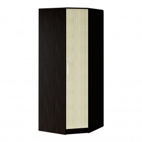 ФИЕСТА Подростковая (модульная) венге/лоредо в Агрызе - agryz.mebel24.online | фото 18