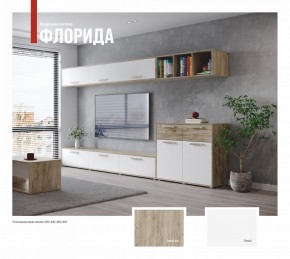 ФЛОРИДА Гостиная (модульная) дуб серый/белый в Агрызе - agryz.mebel24.online | фото