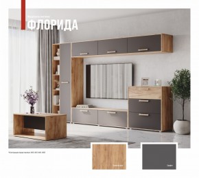 ФЛОРИДА Гостиная (модульная) дуб золотой/графит в Агрызе - agryz.mebel24.online | фото 1