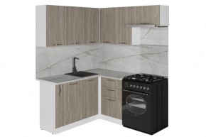 ФЬЮДЖИ Кухонный гарнитур Мега Прайм (1600*1700 мм) в Агрызе - agryz.mebel24.online | фото 3