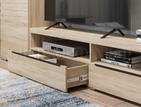 ЭКОЛЬ Гостиная Вариант №3 МДФ (Дуб сонома) в Агрызе - agryz.mebel24.online | фото 2