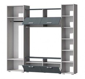 Гостиная Эмми (Анкор светлый/Графит) в Агрызе - agryz.mebel24.online | фото 3