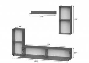 Гостиная МГС 10 (Графит) в Агрызе - agryz.mebel24.online | фото 2