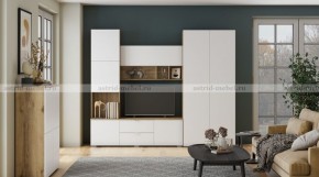 МИЛАН-1 Гостиная (модульная) в Агрызе - agryz.mebel24.online | фото 10