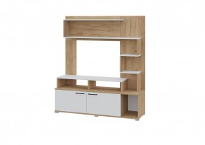 Гостиная Ника (Крафт золотой-белый) в Агрызе - agryz.mebel24.online | фото