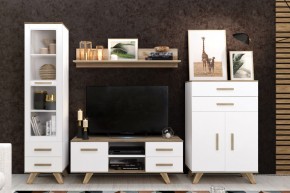 Гостиная Вега Скандинавия (комплект 2) в Агрызе - agryz.mebel24.online | фото