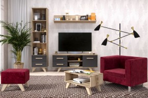 Гостиная Вега Скандинавия (комплект 5) в Агрызе - agryz.mebel24.online | фото