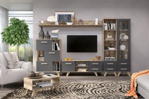 Гостиная Вега Скандинавия (комплект 6) в Агрызе - agryz.mebel24.online | фото 2