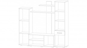 ИБИЦА Гостиная (венге/анкор светлый) в Агрызе - agryz.mebel24.online | фото