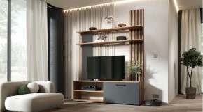 КАРОЛИНА Гостиная (дуб вотан/графит) в Агрызе - agryz.mebel24.online | фото