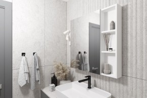 Кларити Шкаф зеркальный 16.312.03 в Агрызе - agryz.mebel24.online | фото