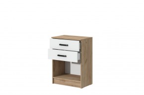 Комод Эконом (Дуб крафт золотой/Белый текстурный) в Агрызе - agryz.mebel24.online | фото 2