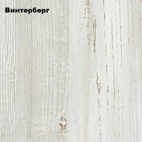 Компьютерный стол "СК-5" Велес в Агрызе - agryz.mebel24.online | фото 4