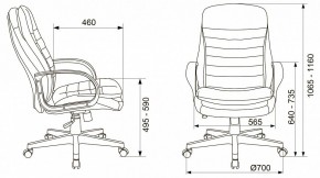 Кресло для руководителя T-9950PL в Агрызе - agryz.mebel24.online | фото 11