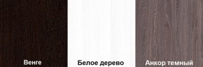 Кровать-чердак Пионер 1 (800*1900) Белое дерево, Анкор темный, Венге в Агрызе - agryz.mebel24.online | фото 3