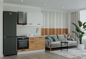 Кухонный гарнитур Лада 1600 (Стол. 38мм) в Агрызе - agryz.mebel24.online | фото