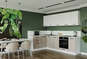 Кухонный гарнитур угловой Демо 2600х1600 (Стол. 38мм) в Агрызе - agryz.mebel24.online | фото