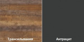 Кухонный гарнитур угловой Трансильвания 2400x1600 мм (Стол. 38 мм) Антрацит/Трансильвания в Агрызе - agryz.mebel24.online | фото 3