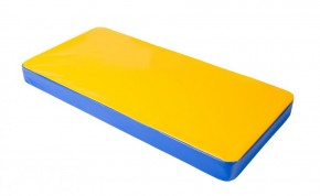 Мат гимнастический 1х0,5х0,08м цв. синий-желтый в Агрызе - agryz.mebel24.online | фото