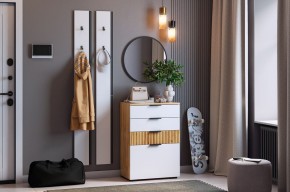 МЕБЕЛЬСОН К21 Прихожая в Агрызе - agryz.mebel24.online | фото