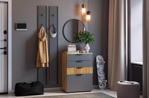 МЕБЕЛЬСОН К21 Прихожая  (графит) в Агрызе - agryz.mebel24.online | фото