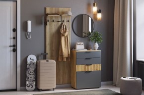 МЕБЕЛЬСОН К3 Прихожая в Агрызе - agryz.mebel24.online | фото 2
