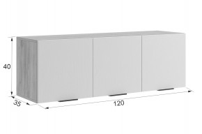 МЕБЕЛЬСОН К33 Прихожая в Агрызе - agryz.mebel24.online | фото 3