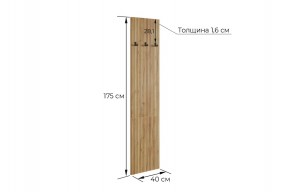 МЕБЕЛЬСОН К8 Прихожая в Агрызе - agryz.mebel24.online | фото 3