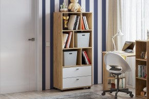 МИЛАН Детская (Дуб Золотой/Белый матовый) в Агрызе - agryz.mebel24.online | фото 53