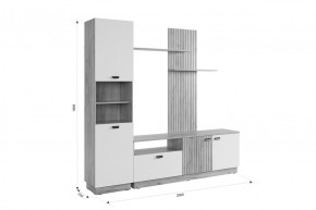 МОДИ Гостиная (модульная) белое дерево в Агрызе - agryz.mebel24.online | фото 2