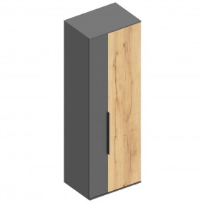 МОНИКА Шкаф для одежды в Агрызе - agryz.mebel24.online | фото 3