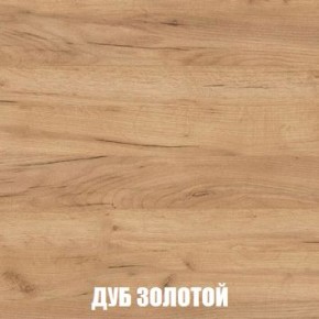 МСП-1 Шкаф 2-х створчатый (Дуб Золотой/Камень темный) в Агрызе - agryz.mebel24.online | фото 4
