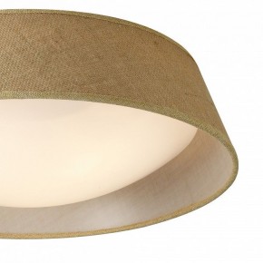 Накладной светильник Mantra Sabina 6413 в Агрызе - agryz.mebel24.online | фото 3