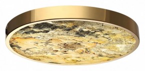 Накладной светильник Odeon Light Bergi 5079/40L в Агрызе - agryz.mebel24.online | фото 2