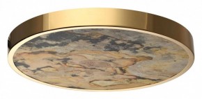 Накладной светильник Odeon Light Bergi 5079/40L в Агрызе - agryz.mebel24.online | фото 4