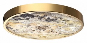 Накладной светильник Odeon Light Bergi 5079/40L в Агрызе - agryz.mebel24.online | фото 6