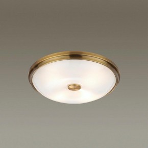 Накладной светильник Odeon Light Pelow 4956/4 в Агрызе - agryz.mebel24.online | фото 2