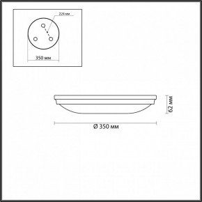 Накладной светильник Odeon Light Pelow 4956/4 в Агрызе - agryz.mebel24.online | фото 3