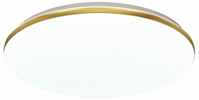Накладной светильник Sonex Lassa 3043/DL в Агрызе - agryz.mebel24.online | фото 2